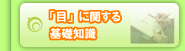 「目」に関する基礎知識